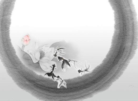 一加3t什么屏幕