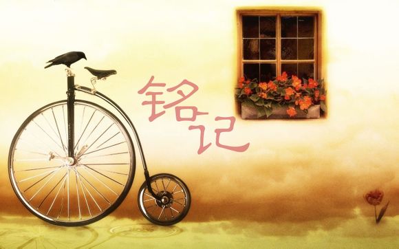 什么是认证公众号