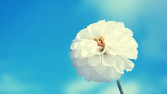 java怎么获取前一个月日期