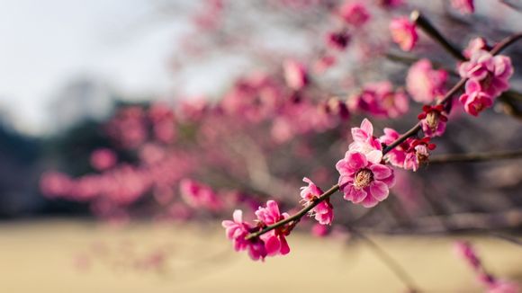 用java前端开发怎么
