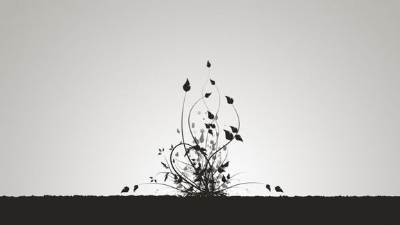 java程序怎么控制堆内存大小