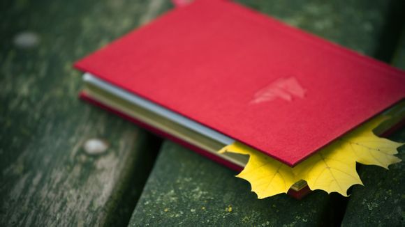 唯品会v值有什么用