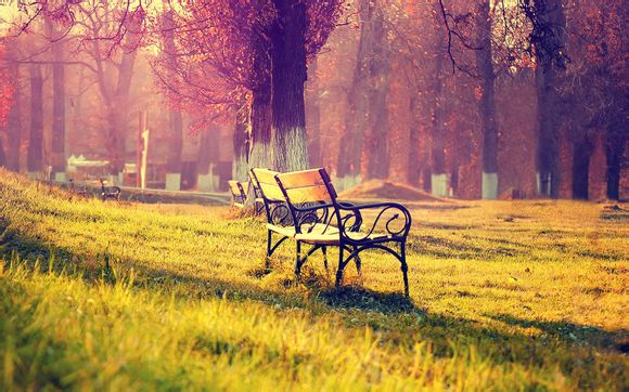 Java刚进公司没人带怎么办