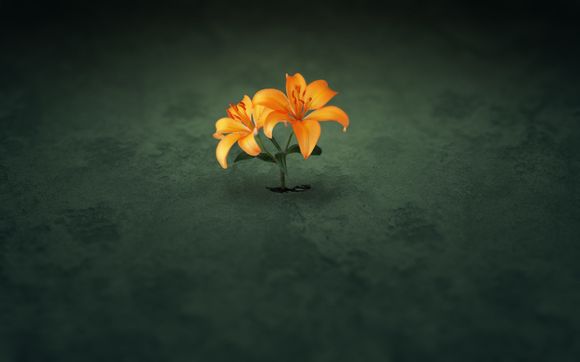电脑屏幕不清晰怎么办